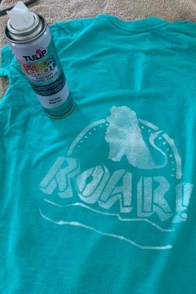 ColorShot Fabric Spray and T-Shirt